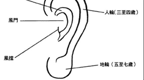 耳相學|金自在相面秘訣——耳朵篇